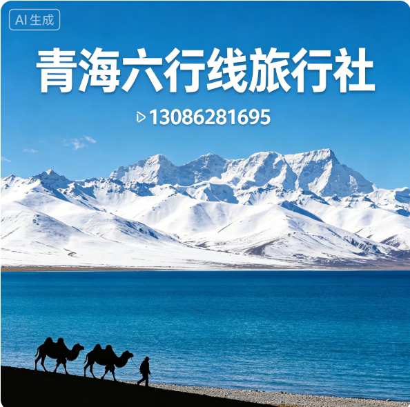 青海六行线旅行社西宁线上分站